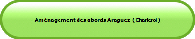 Aménagement des abords Araguez  ( Charleroi )